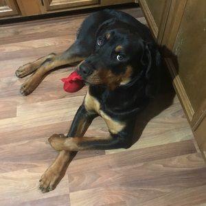 Meet your Posher, Olivia